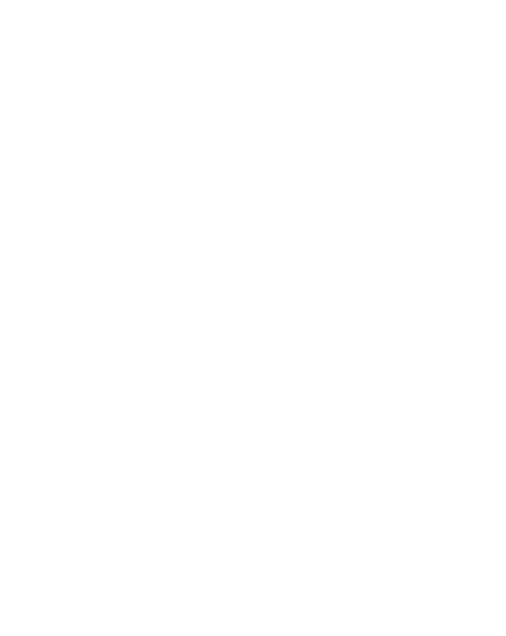 EJan Sculture
